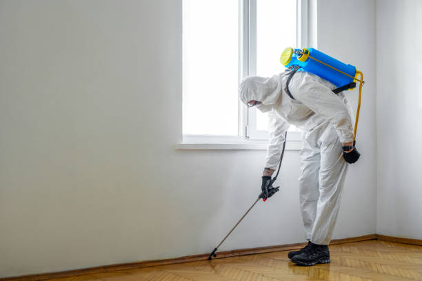 Professional Pest Control in Kensett, AR