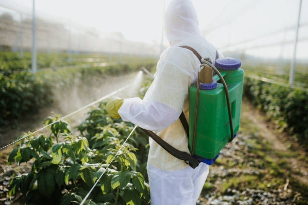 Best Wildlife Control Services  in Kensett, AR
